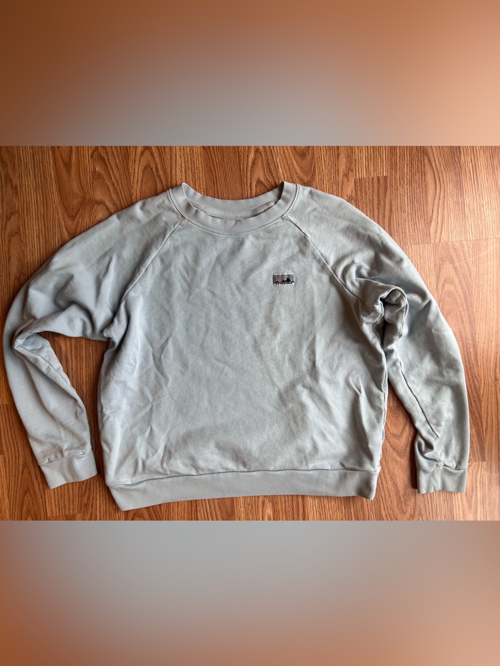 Patagonia Womans Light Blue Crewneck - Soft Cozy - Medium